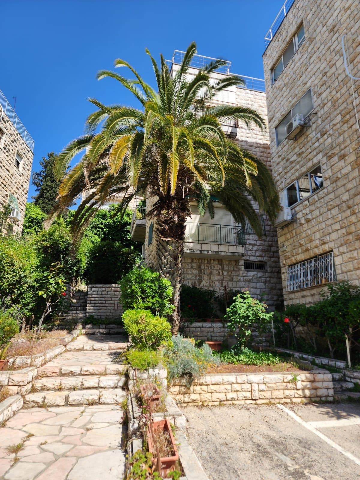 דירה 3.5 חדרים, תמונה 5