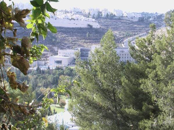 קוטג' 4.5 חדרים, תמונה 2