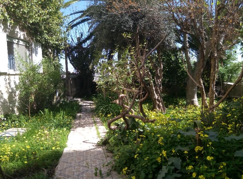 דירת גן 7 חדרים, תמונה 5