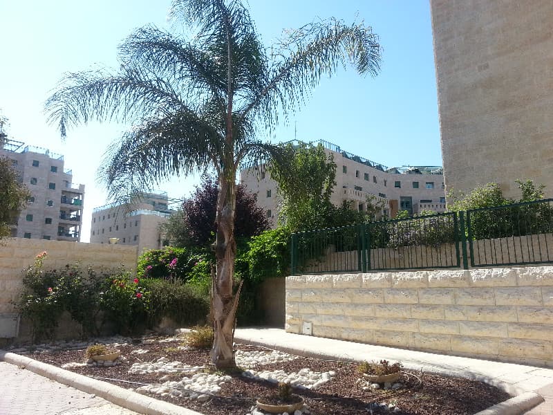 דירה 2 חדרים, תמונה 3
