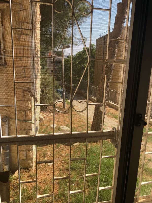 דירה 3 חדרים, דב גרונר, ארמון הנציב, ירושלים