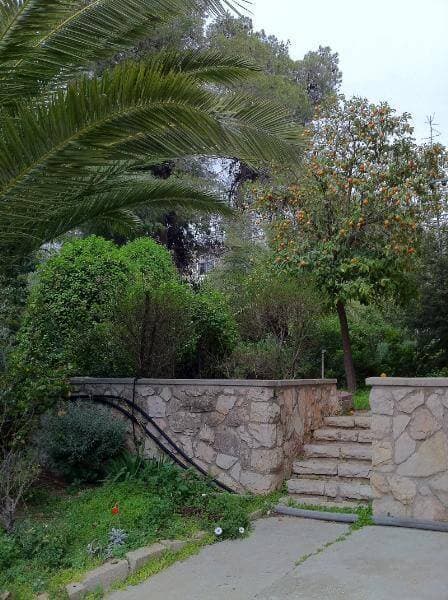 דירה 4.5 חדרים, קורא הדורות, ארנונה, ירושלים