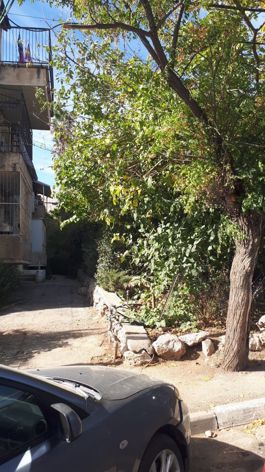 דירה 2.5 חדרים, תמונה 2