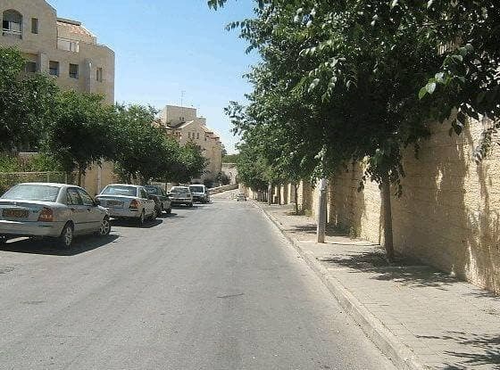 דירת גן 4 חדרים, תמונה 3