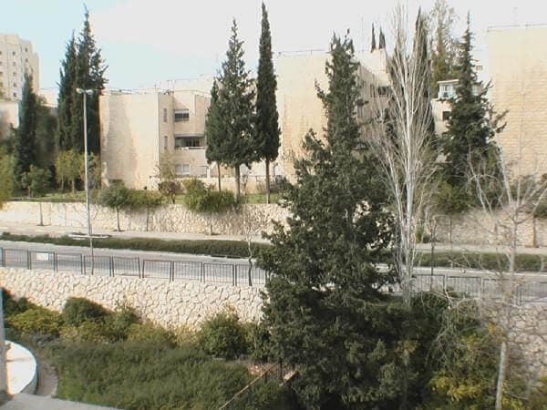 דופלקס 4 חדרים, תמונה 4