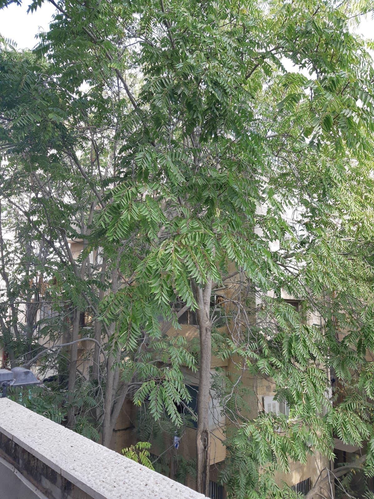 משרד 120 מ״ר, קוק הרב, מרכז העיר, ירושלים