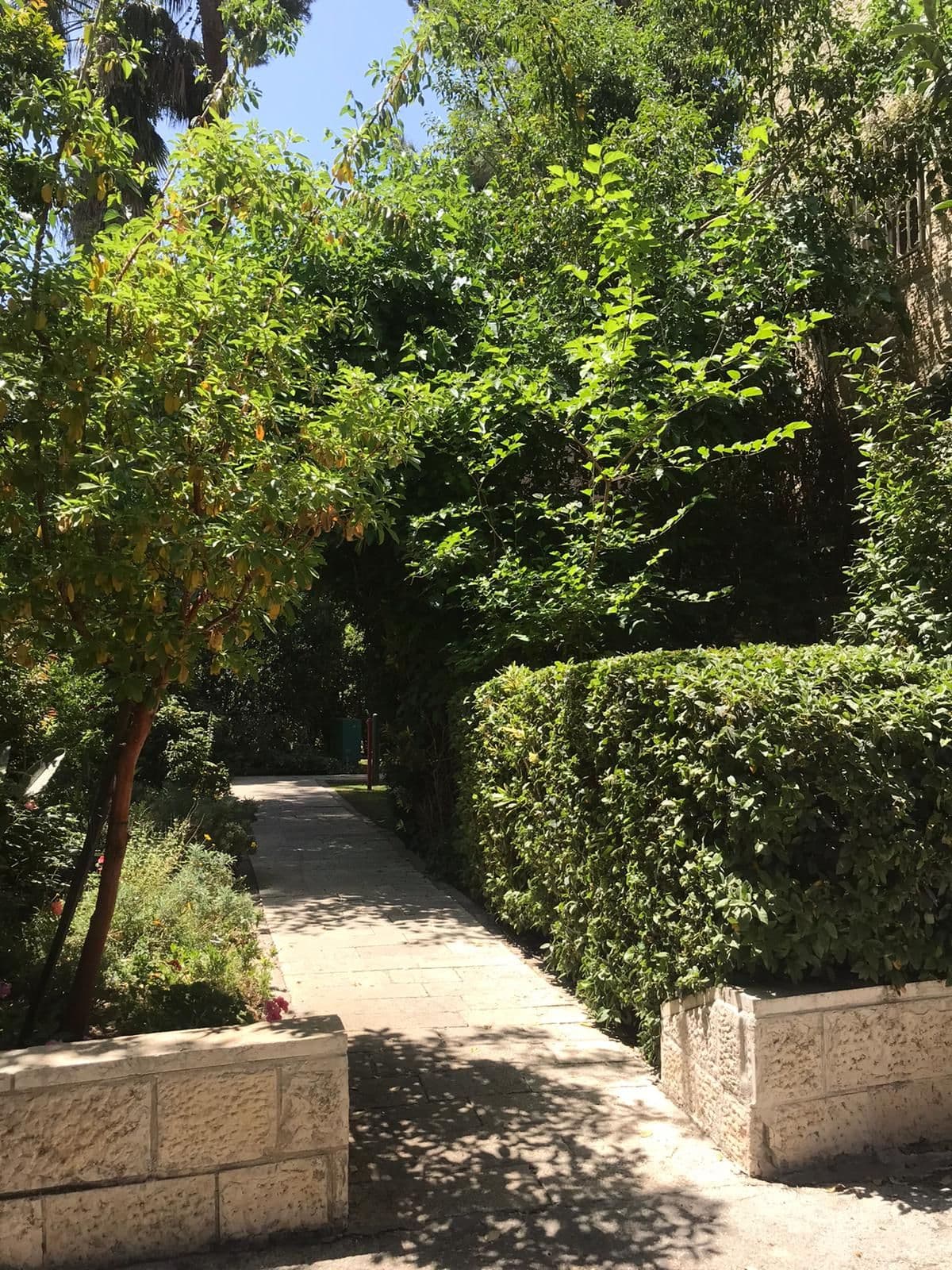 דירה 4 חדרים, תמונה 4