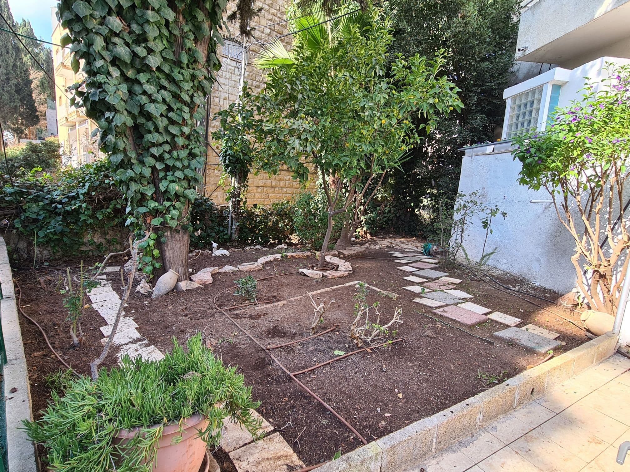דירה 4 חדרים, תמונה 2