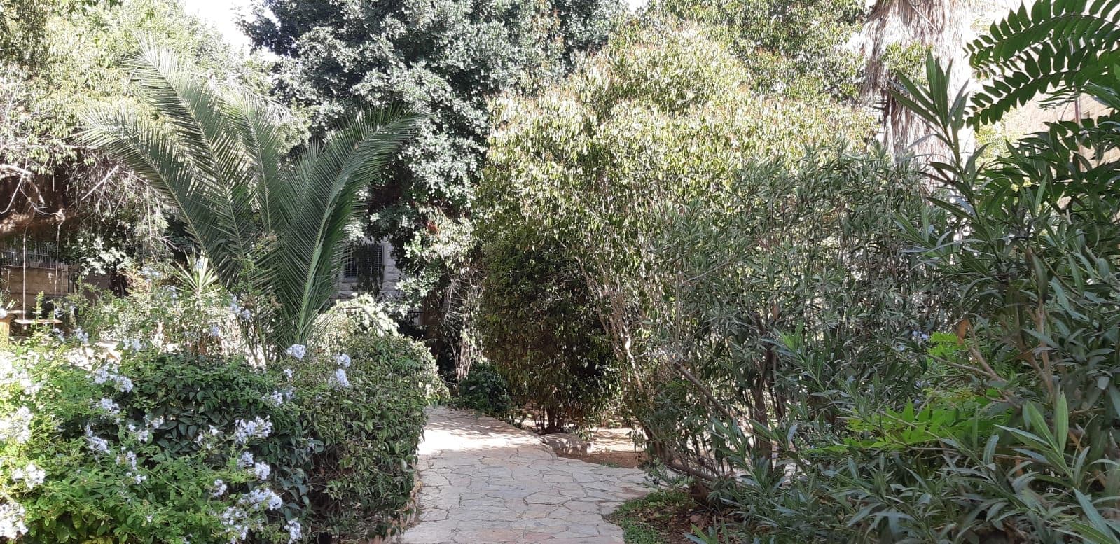 משרד 55 מ״ר, תמונה 3