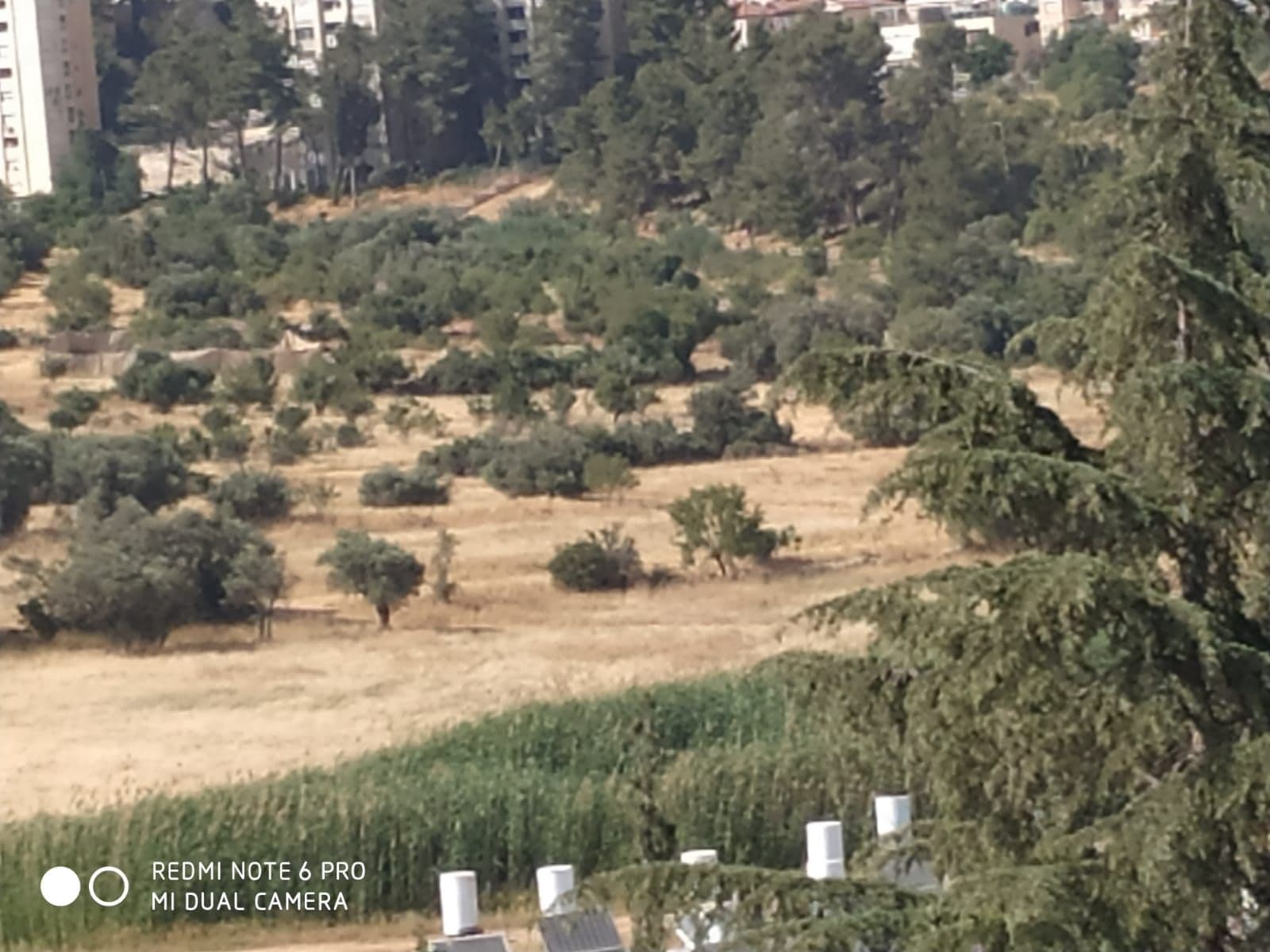 דירה 3.5 חדרים, תמונה 4