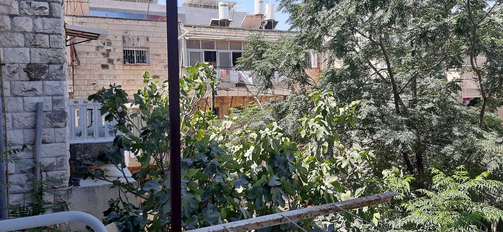 דירה 3 חדרים, תמונה 1