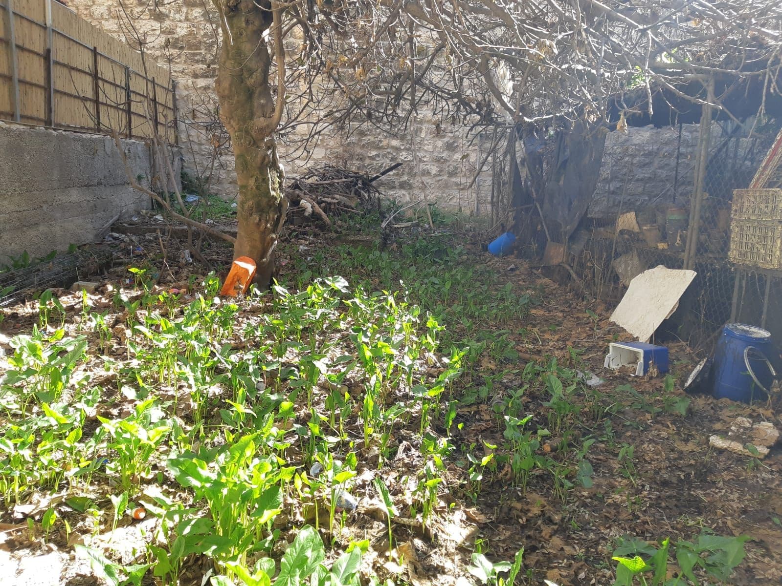 חנות 102 מ״ר, תמונה 4