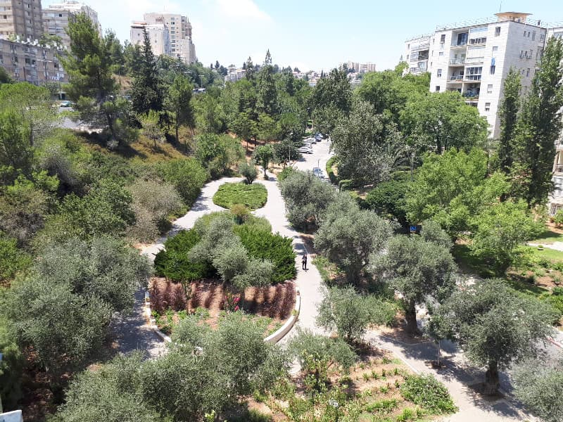 דירה 5 חדרים, תמונה 5