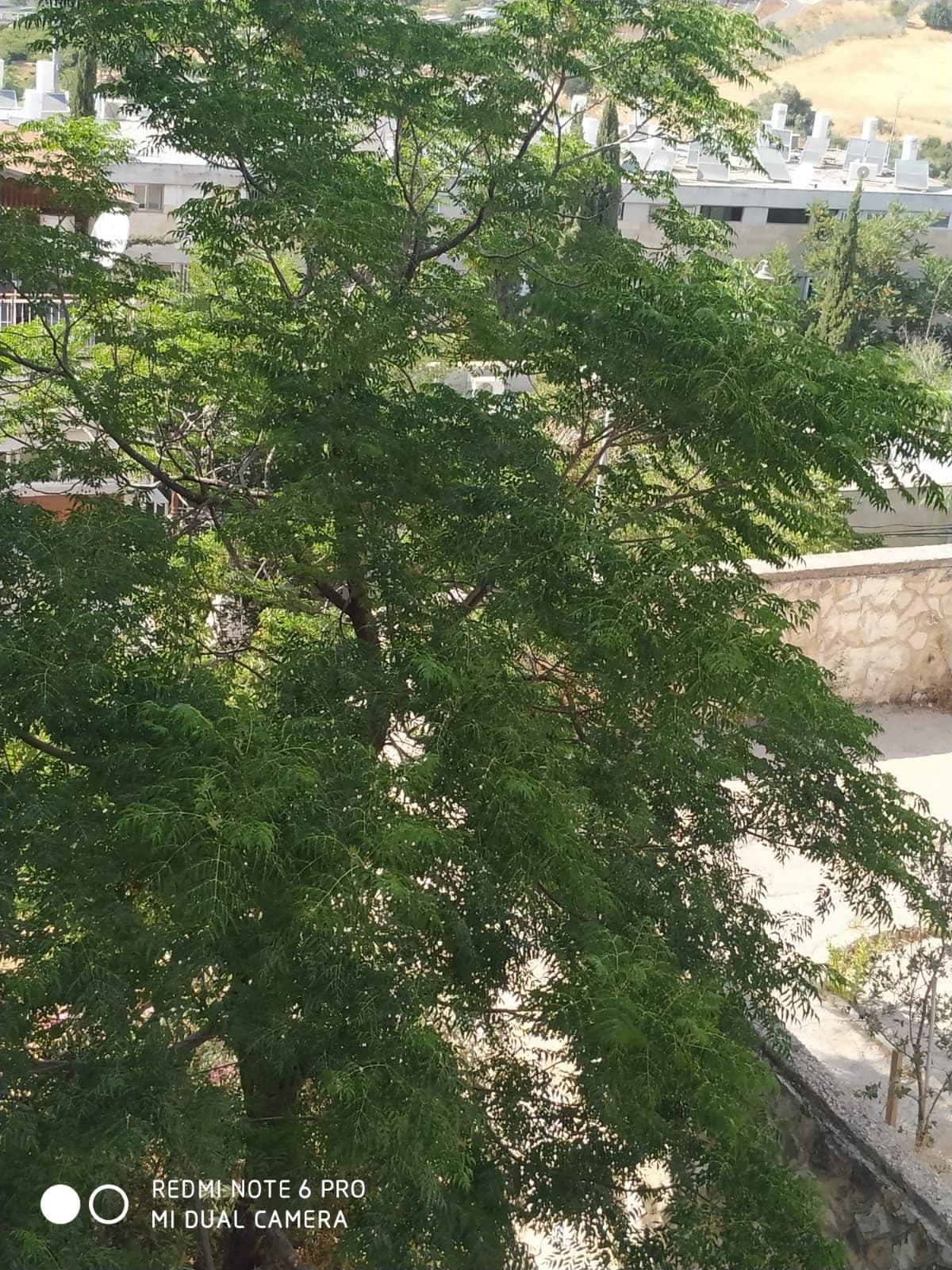 דירה 3.5 חדרים, תמונה 2