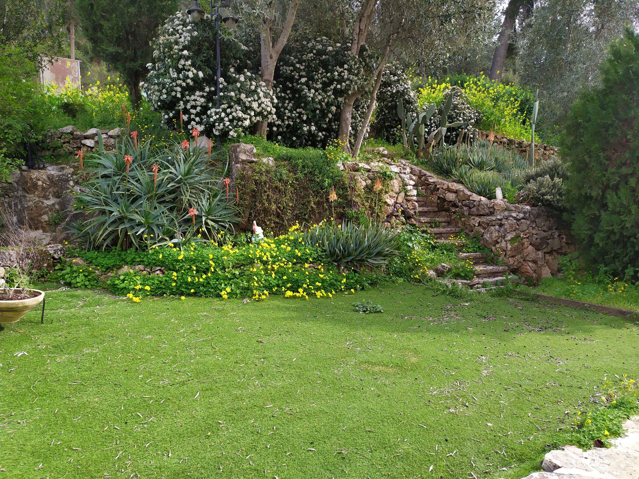 וילה 13 חדרים, תמונה 3