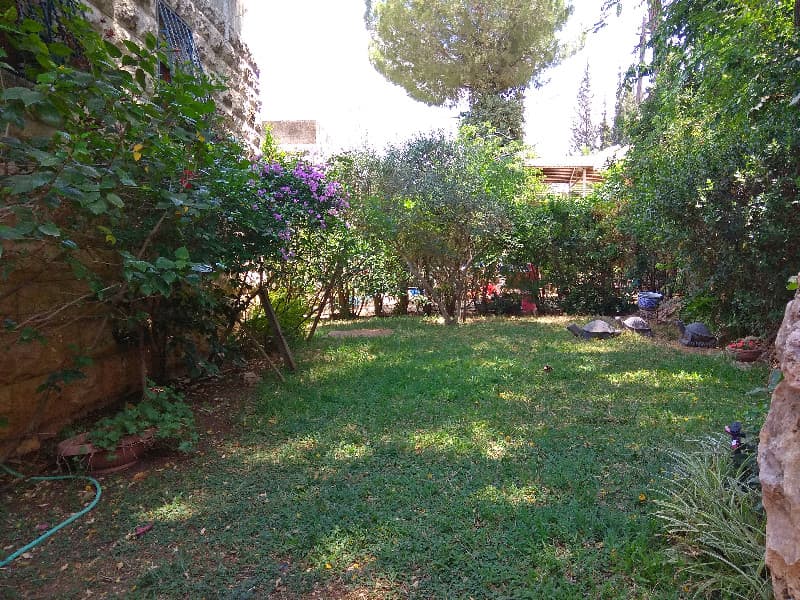 דו משפחתי 8 חדרים, תמונה 4