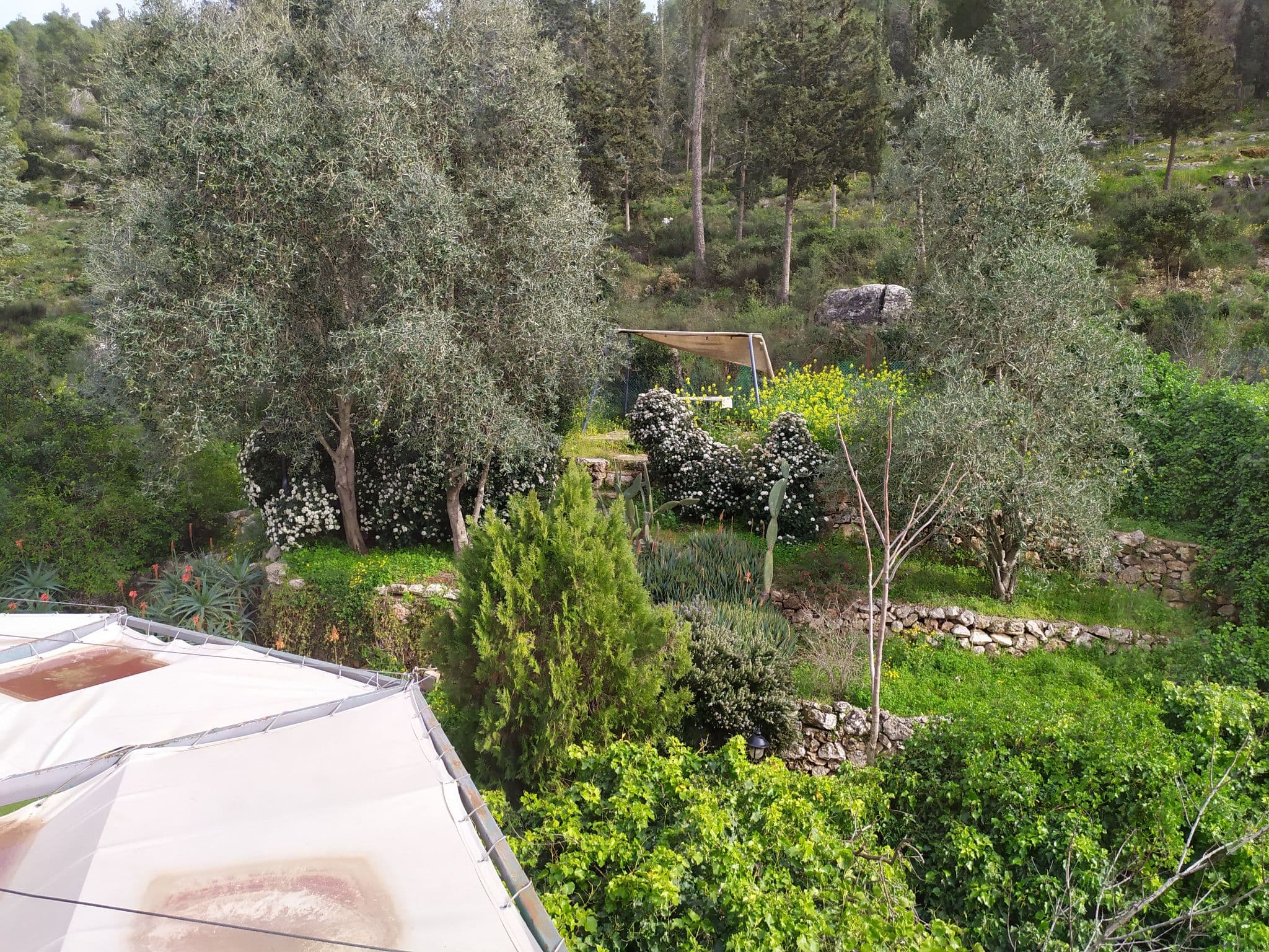 וילה 13 חדרים, תמונה 2