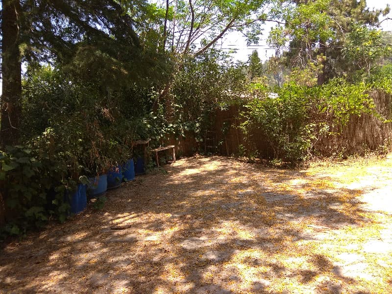 וילה 7 חדרים, תמונה 4