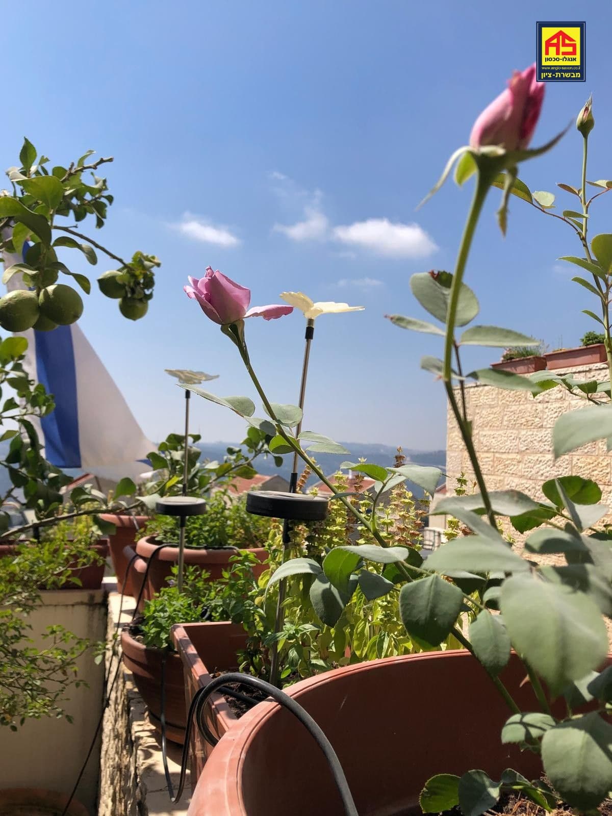 דירת גן 4.5 חדרים, מירון, שכונה ה-ו, מבשרת ציון