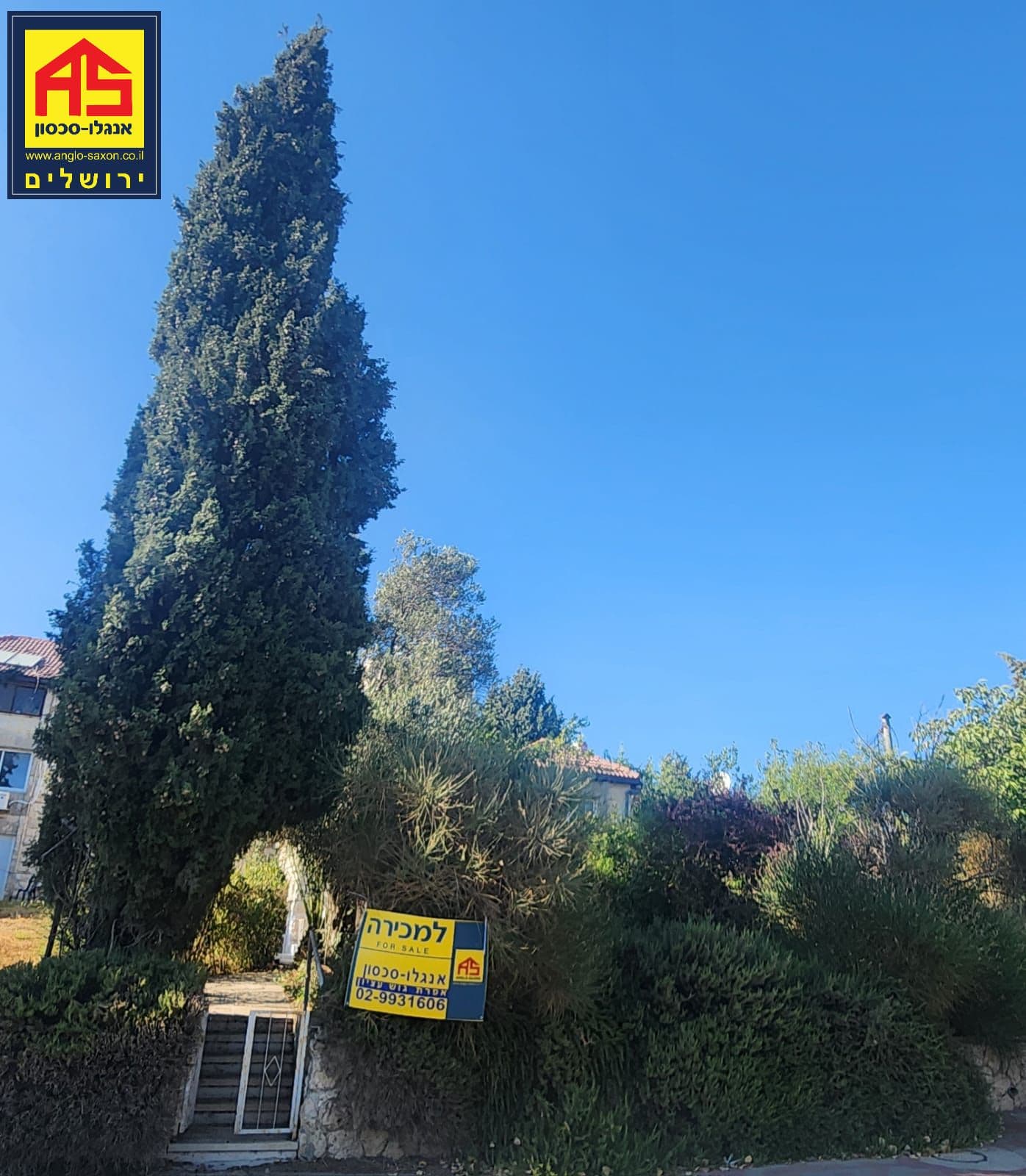 דירת גן 3 חדרים, תמונה 2