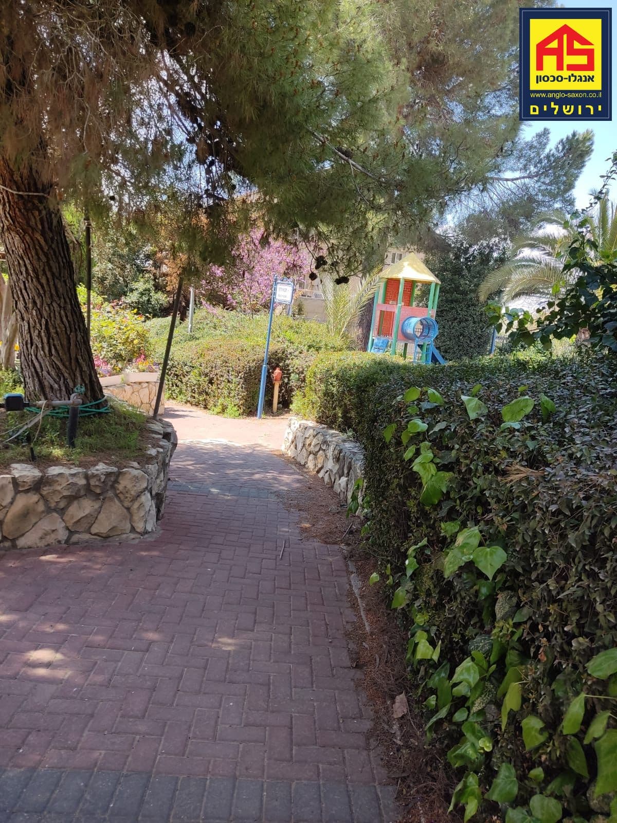 קוטג' 3.5 חדרים, תמונה 3