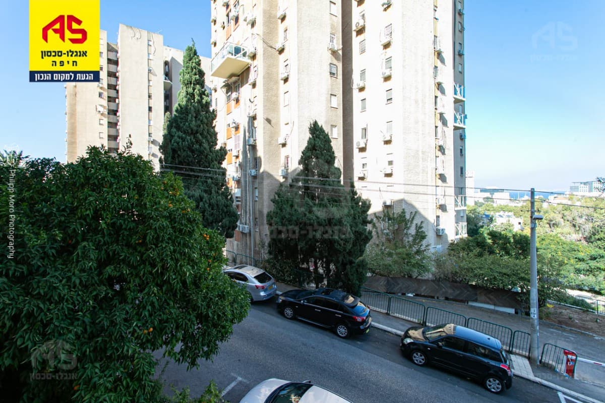 דירה 3 חדרים, תמונה 2