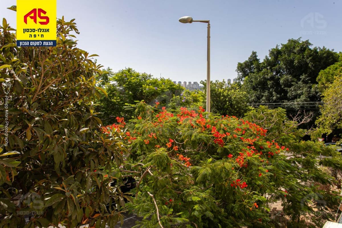 דירה 4.5 חדרים, התיכון 79, נווה שאנן, חיפה