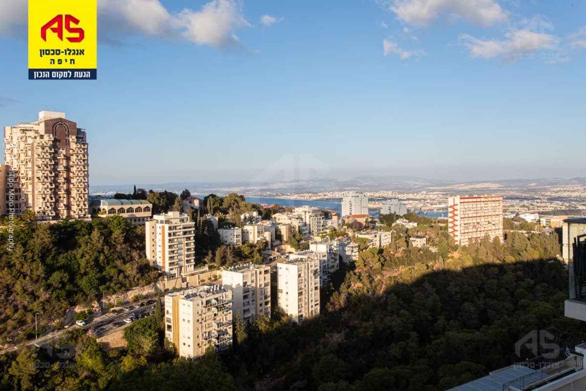 דירה 4 חדרים, תמונה 3