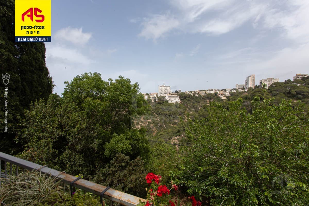 דירה 3 חדרים, תמונה 3