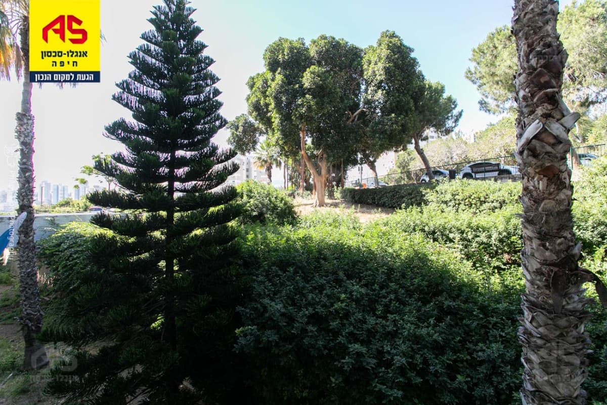 דירה 4 חדרים, תמונה 4
