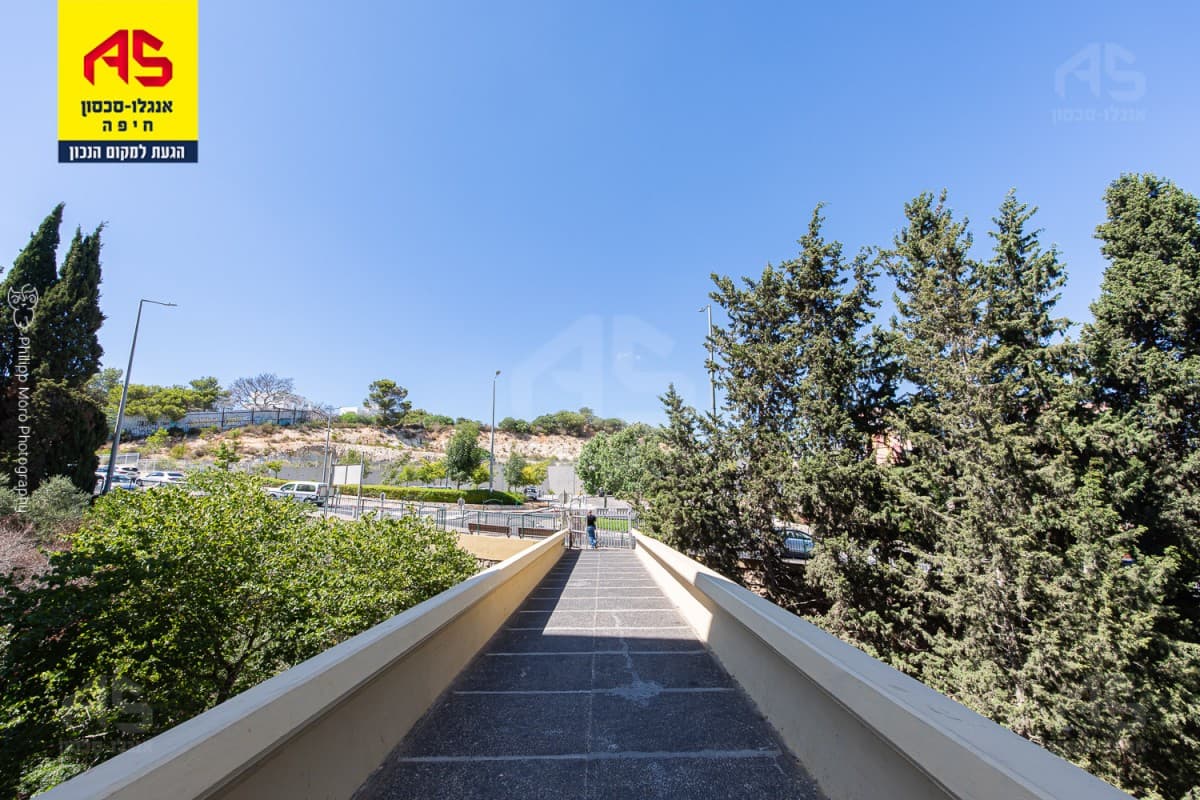 דירה 3.5 חדרים, תמונה 3