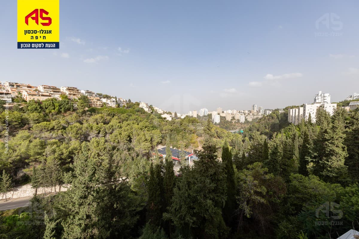 דירה 3 חדרים, תמונה 3