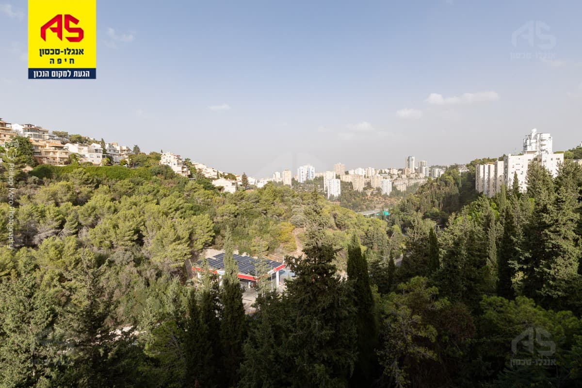 דירה 3 חדרים, תמונה 2