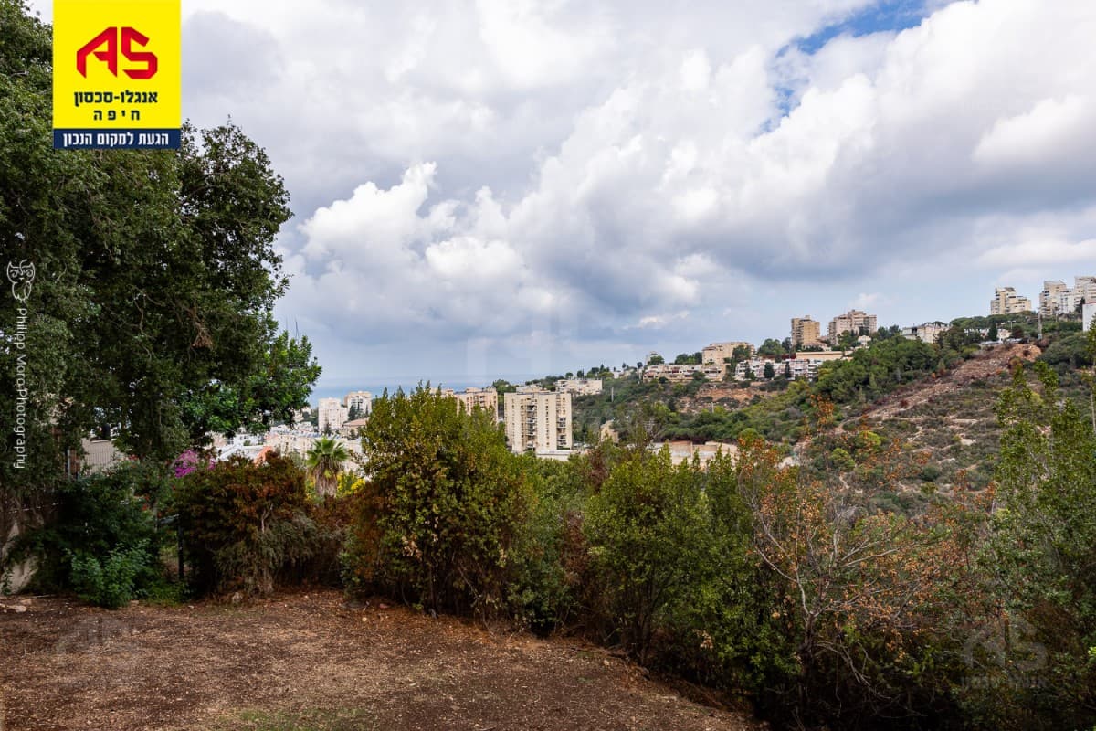 דירה 4 חדרים, תמונה 2