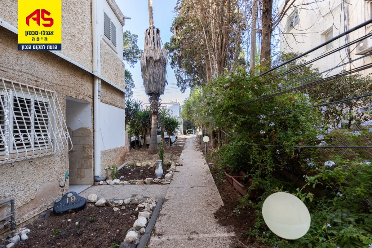 דירה 3.5 חדרים, תמונה 4