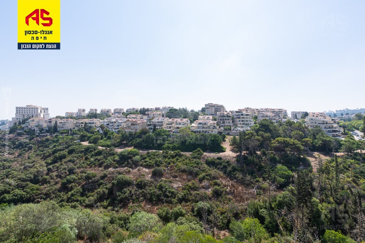 דירה 3.5 חדרים, תמונה 3