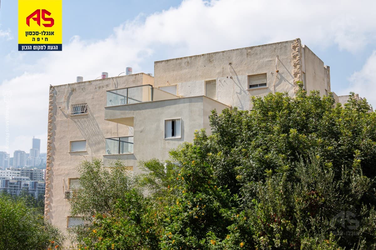 דירה 3.5 חדרים, תמונה 4
