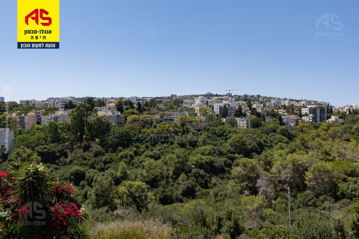 פנטהאוז, נורית, ורדיה, חיפה