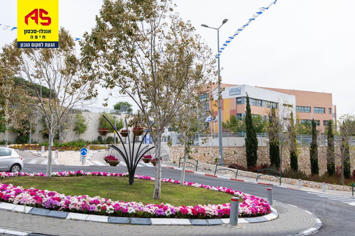 דירה 3 חדרים, תמונה 2