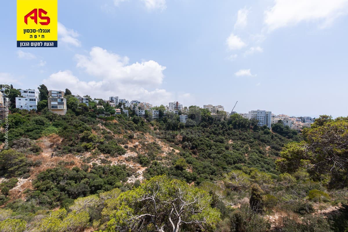 דירה 3 חדרים, תמונה 5