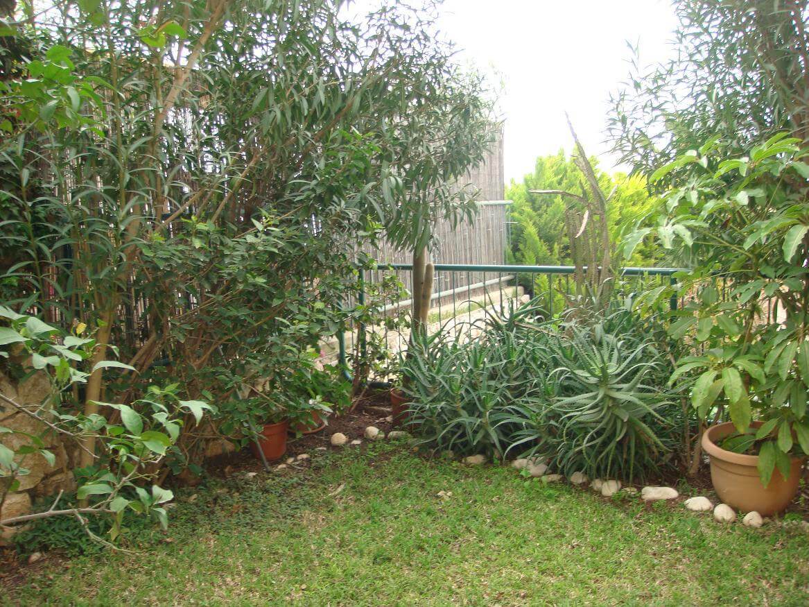 דירת גן 4.5 חדרים, תמונה 4