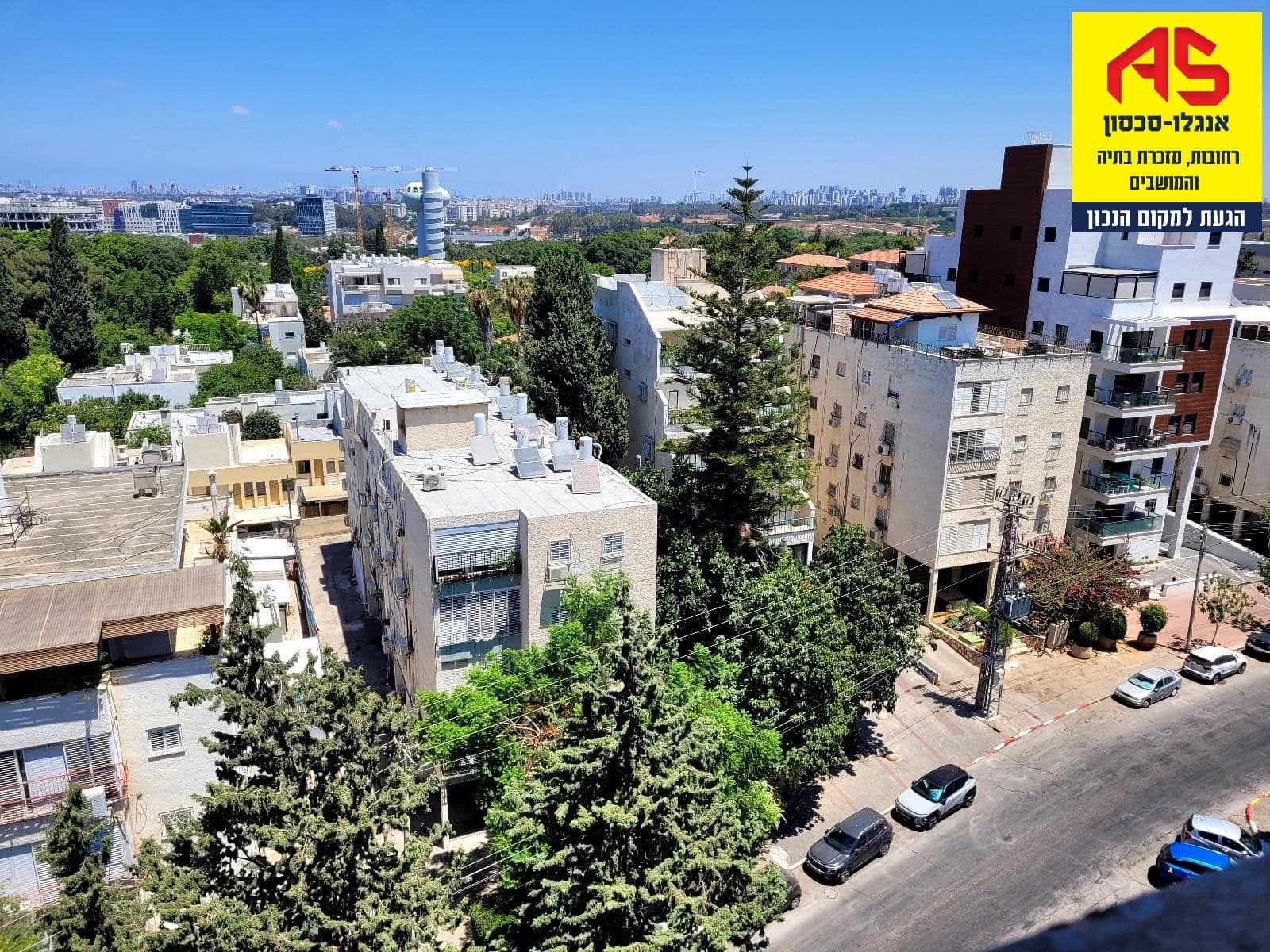 דירה 6 חדרים, תמונה 4