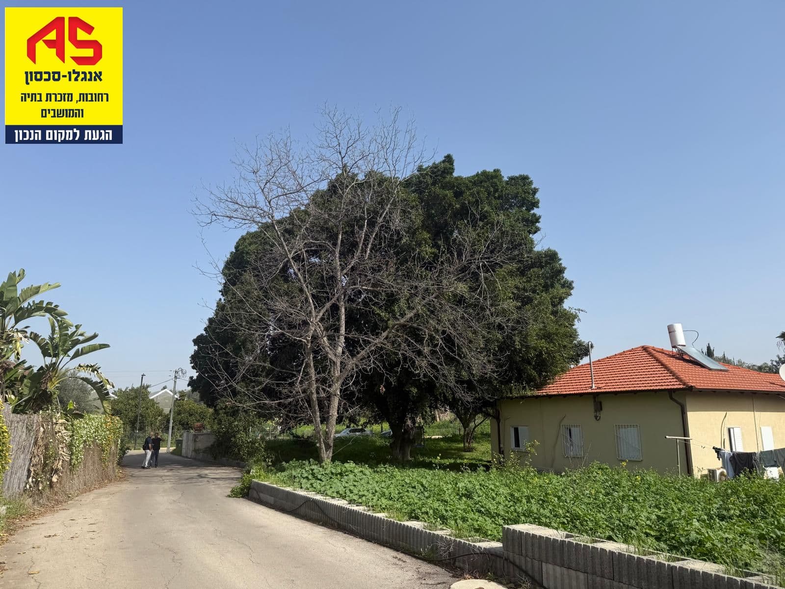 משק חקלאי/נחלה 4 חדרים, תמונה 3