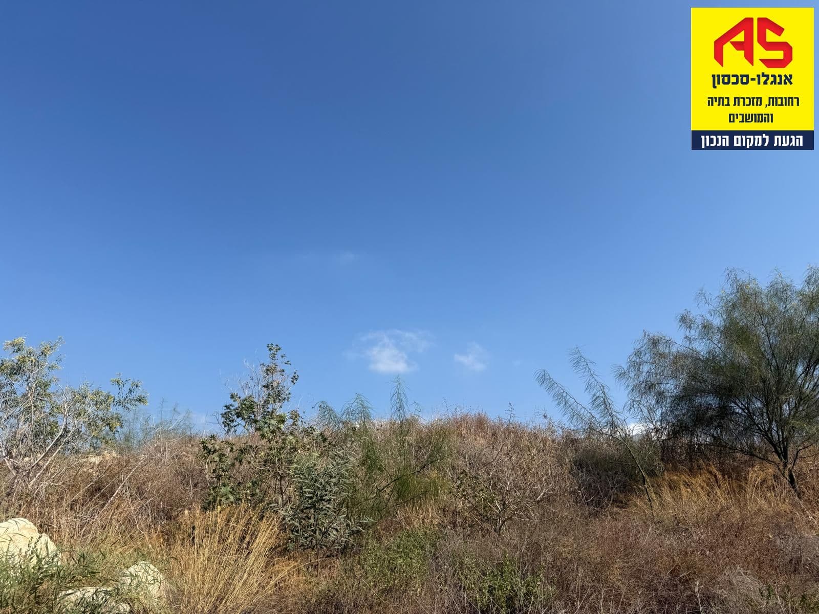 מגרש, תמונה 4