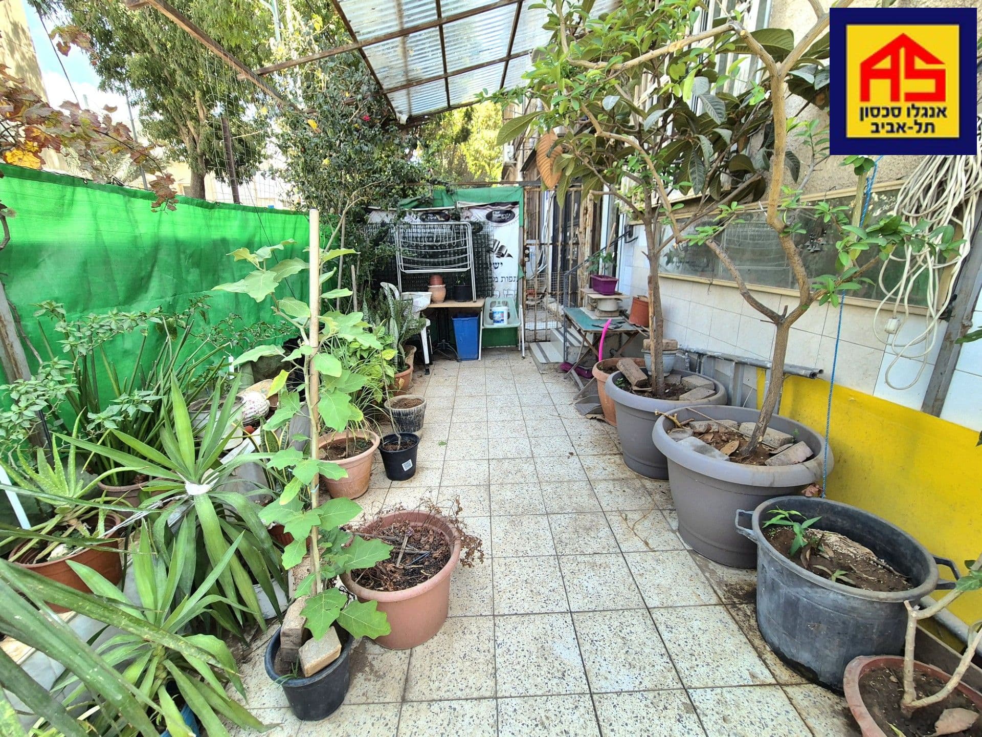 דירה 3 חדרים, תמונה 2