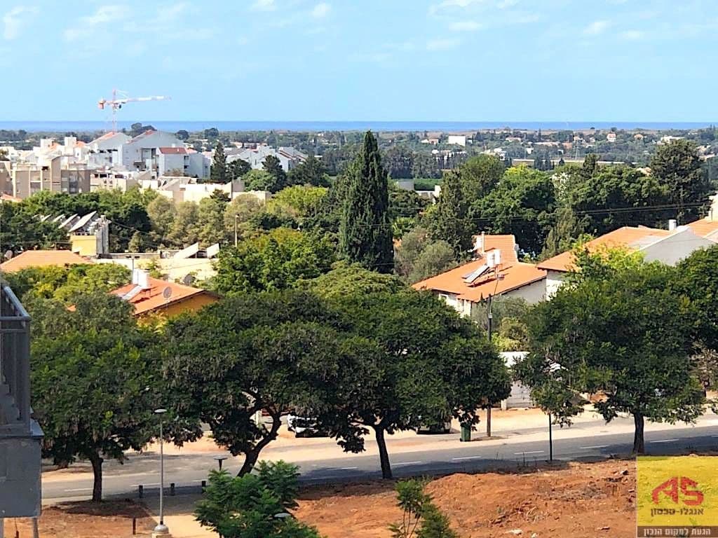 דירה 6 חדרים, תמונה 4