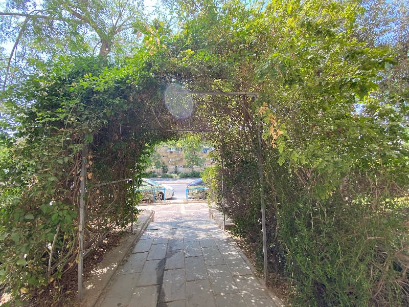 דירה 3 חדרים, תמונה 4