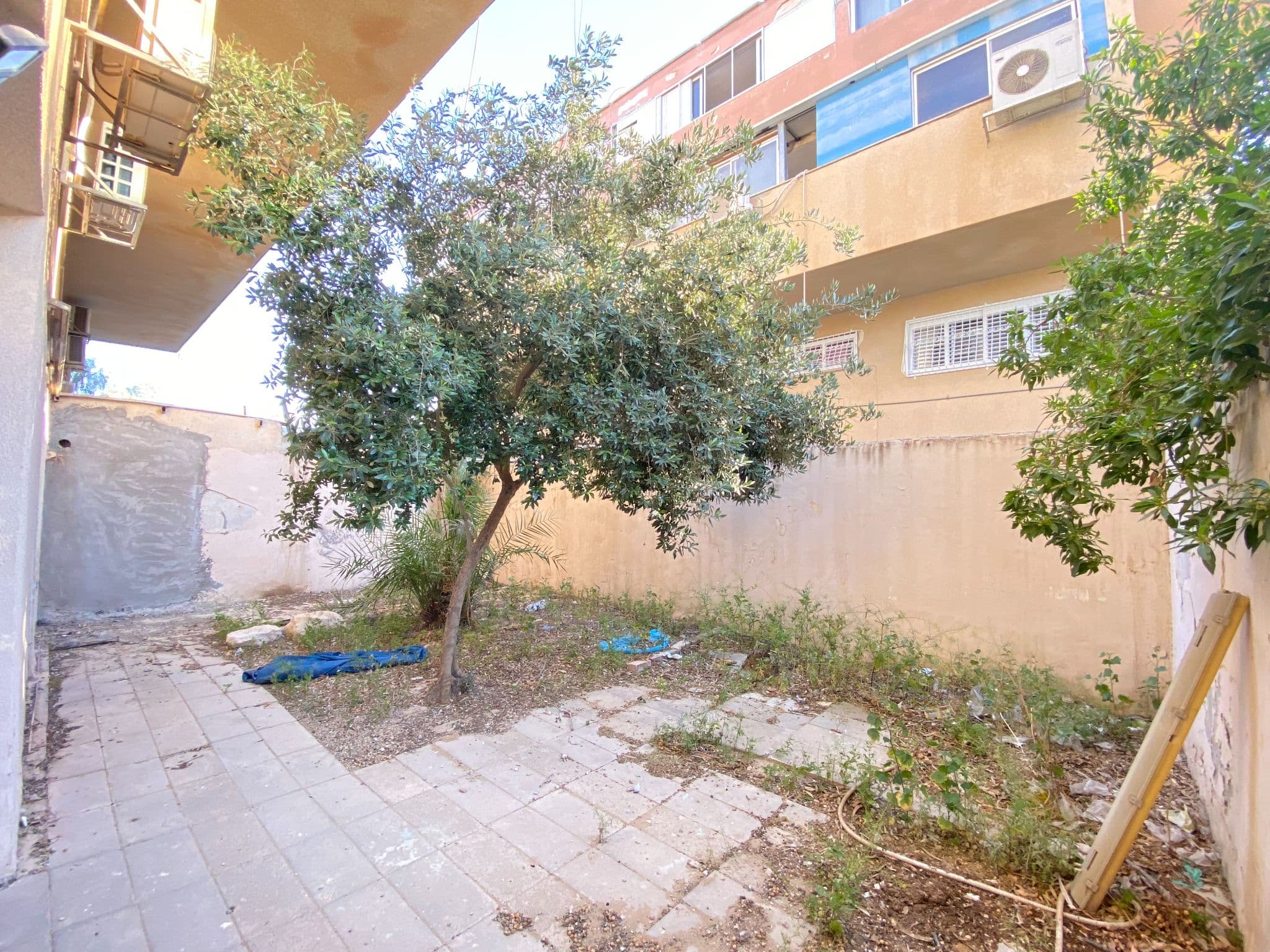 דירת גן 3 חדרים, תמונה 4