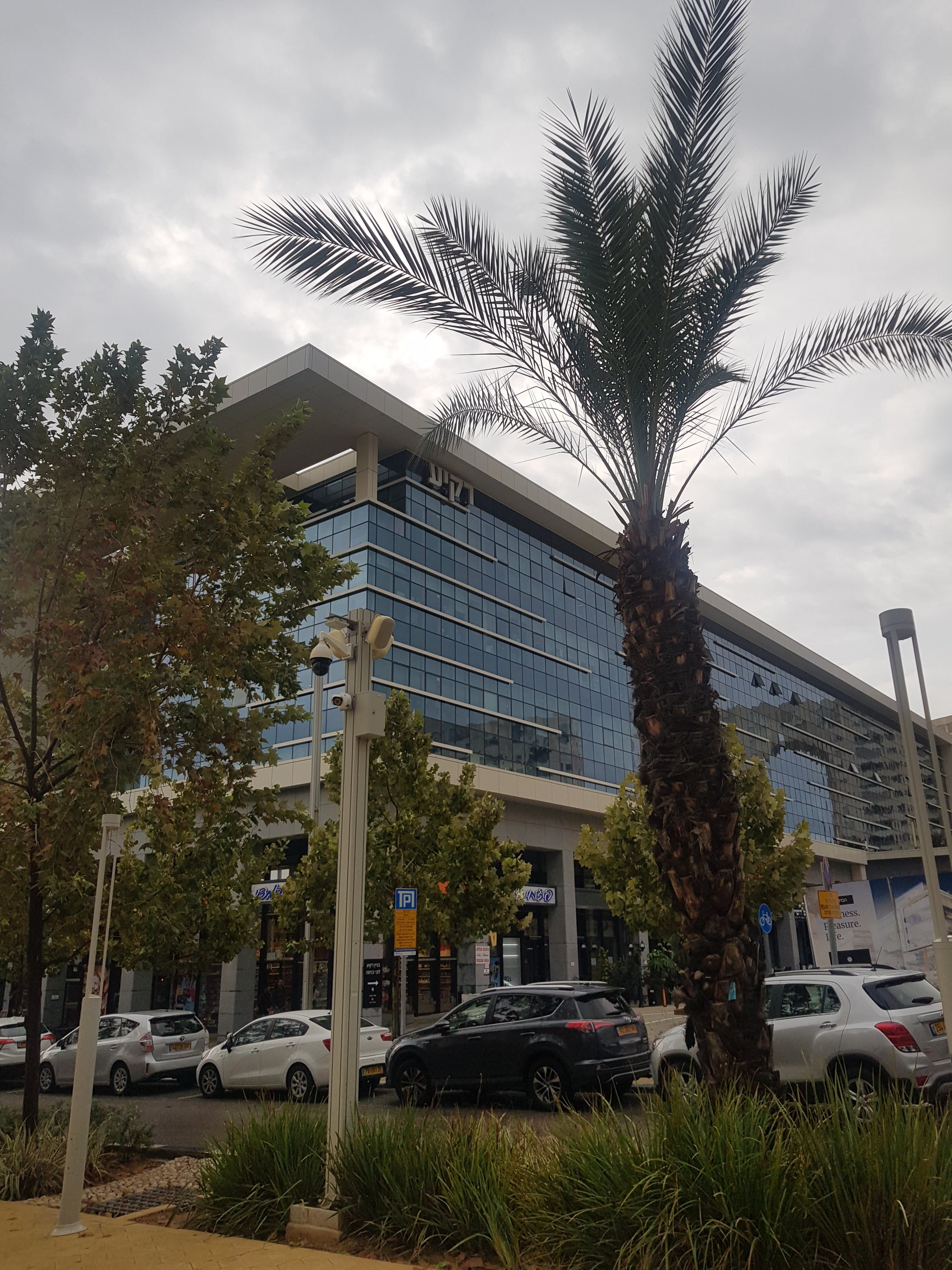 חנות 195 מ״ר, תמונה 3