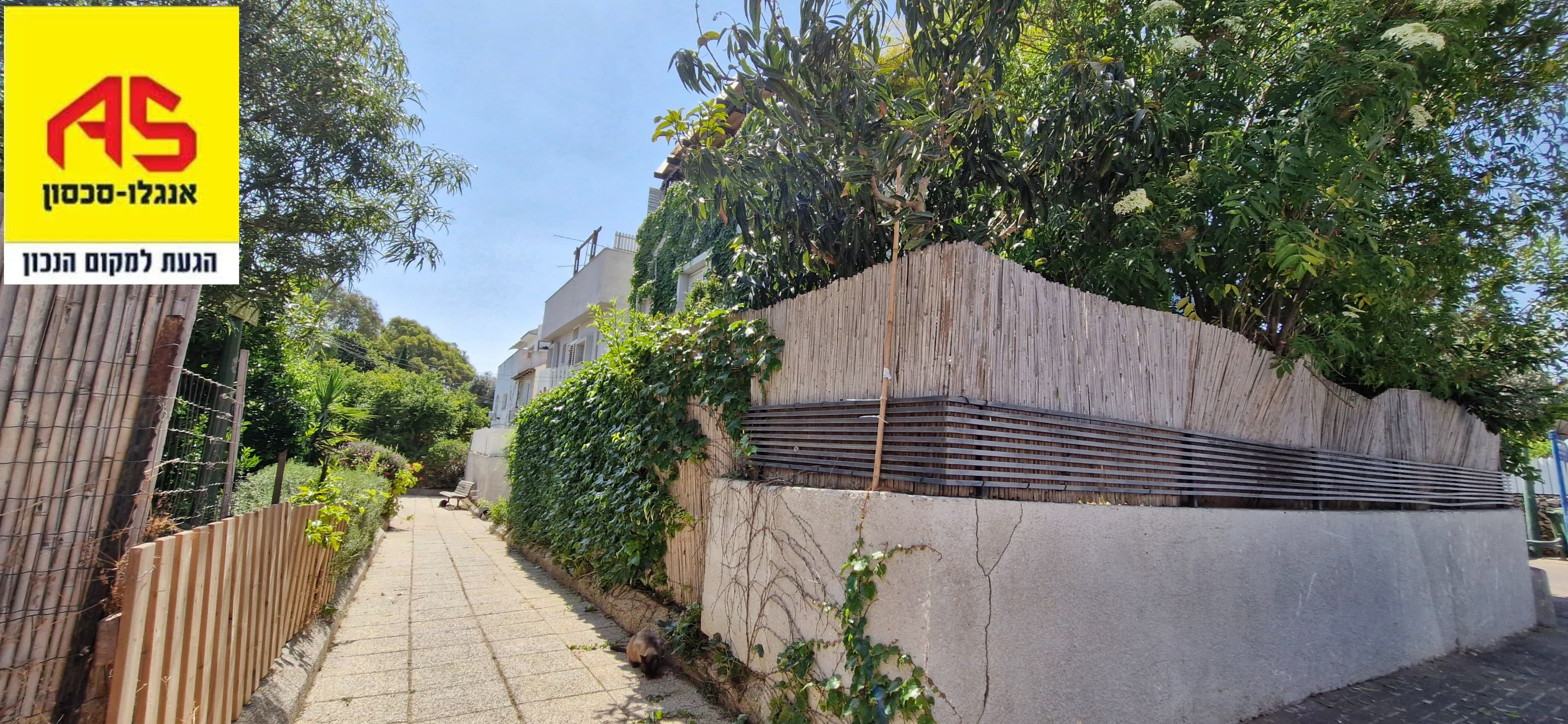 דירת גן 3 חדרים, תמונה 4